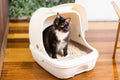 Sistema de arena para gatos de dos niveles | Arenero con cubierta | Kit de inicio incluido