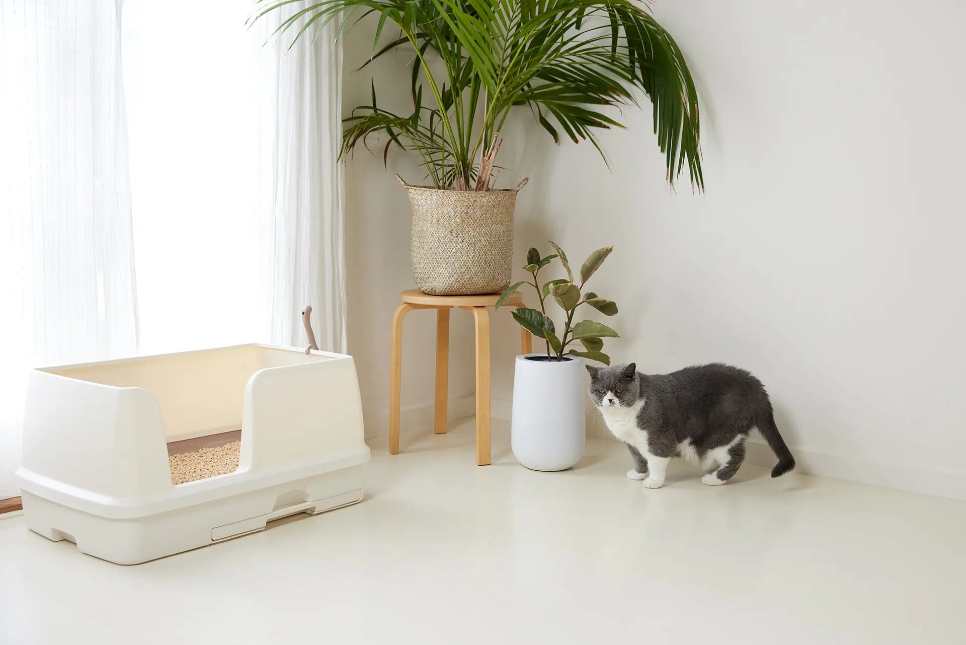 Sistema de arena para gatos de dos niveles | Arenero abierto extra grande | Kit de inicio incluido