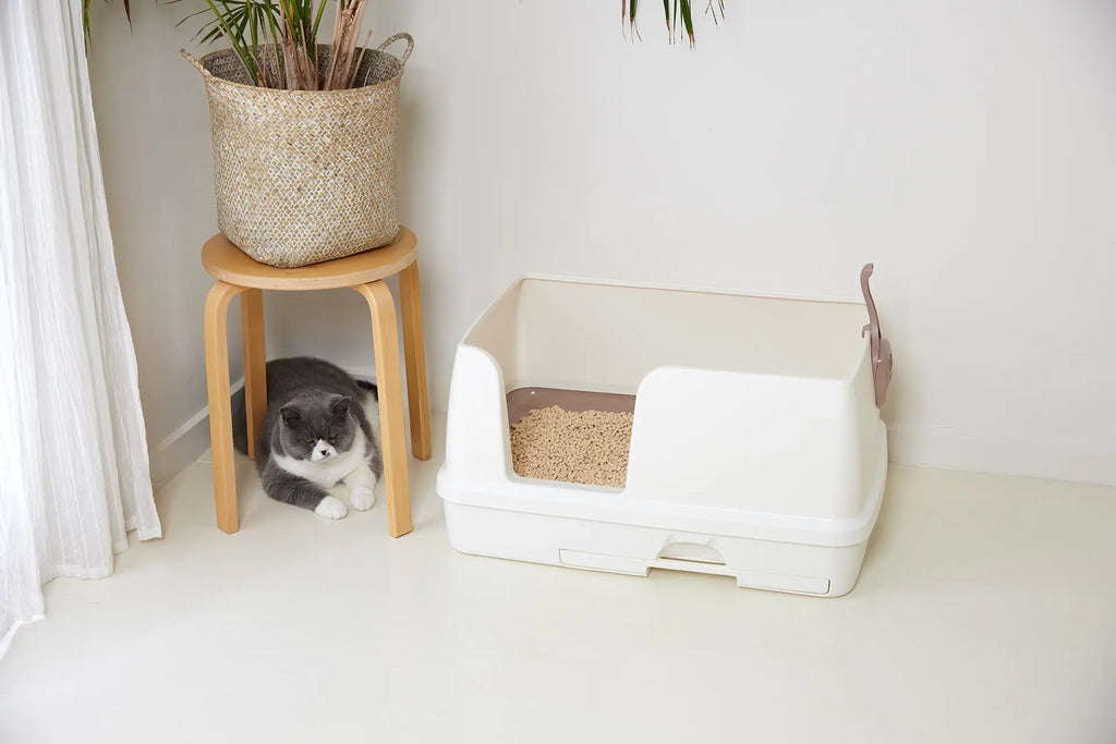 Sistema de arena para gatos de dos niveles | Arenero abierto extra grande | Kit de inicio incluido